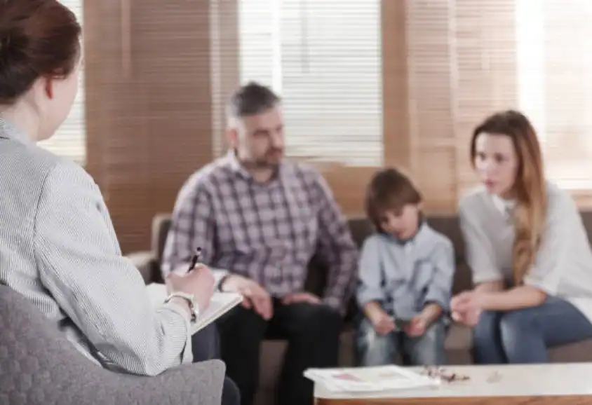 Child Custody and Relocation in International Family Disputes Bridgwater